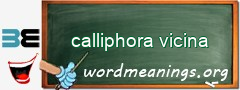 WordMeaning blackboard for calliphora vicina